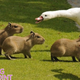 Image for article titled Peace Was Never An Option
